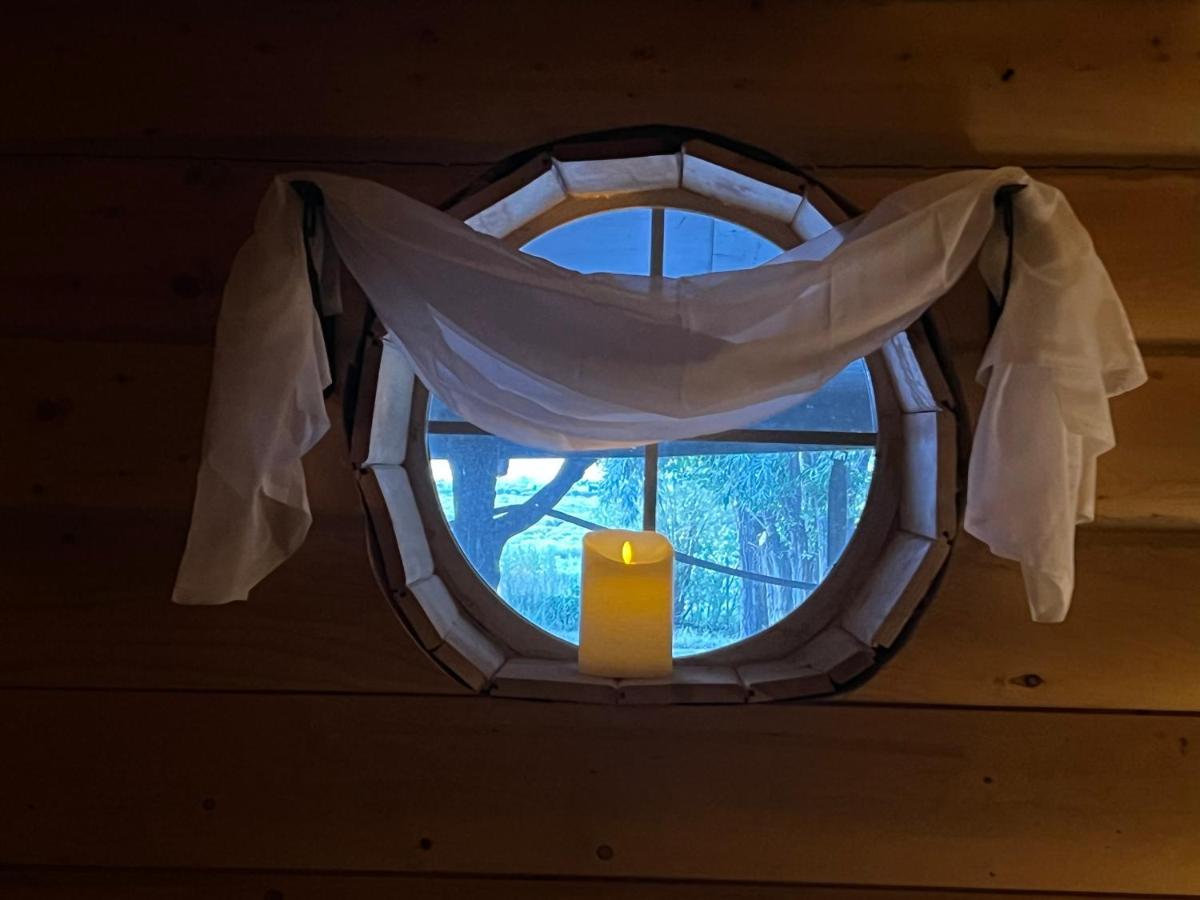 The Gratitude Homestay Alamosa Kültér fotó